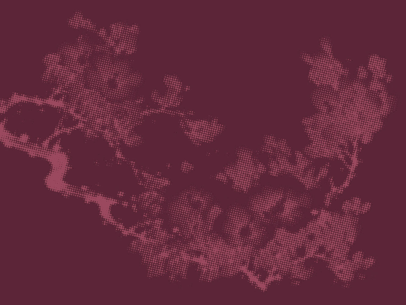 duotone image of hibiscus flowers